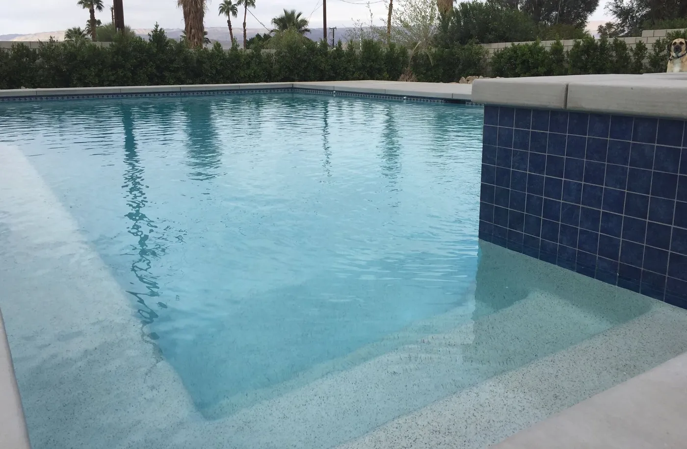 Pool Maintenance services in Coachella, California - Vacation Pools Inc